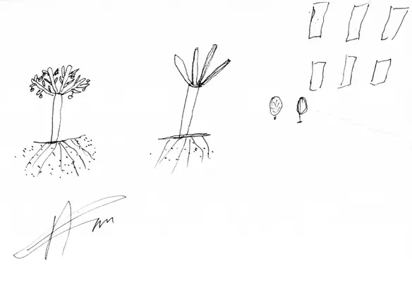 Participatory mapping 16